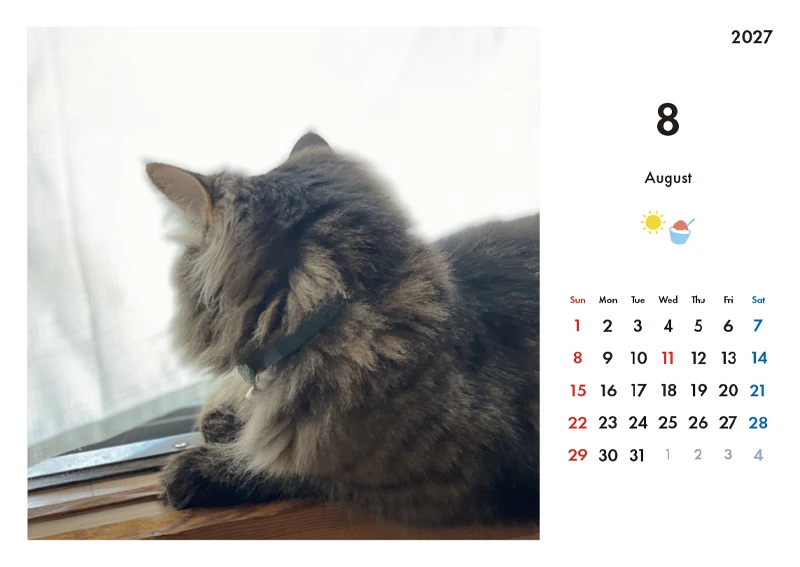 「ニャンかれ」 猫たちと過ごす12ヶ月 8月